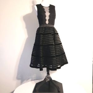 Fairy Black Dress Size